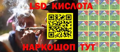 стафф Шелехов