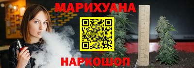 стафф Шелехов