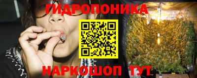 стафф Шелехов