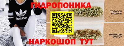стафф Шелехов