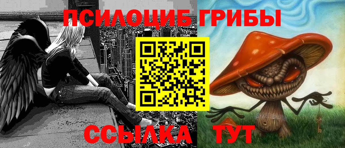 Псилоцибиновые грибы Magic Shrooms Большой Камень