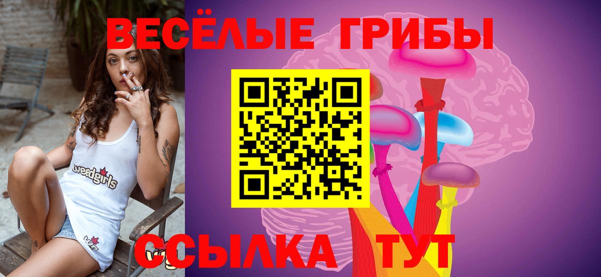 Псилоцибиновые грибы MAGIC MUSHROOMS  купить  цена  Большой Камень  Вход с VPN  Галлюциногенные грибы Psilocybe 